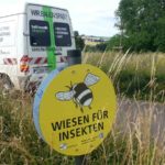 Bikepark Wiesen Fuer Insekten Frankfurt