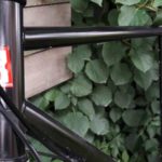 Leafycles Gravelbike Extreme Allroad Fat Tires Prototype 4