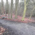 Dirtpark Hamburg Trailpark Mountainbike Trails Legalisieren 11