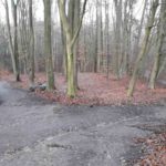 Dirtpark Hamburg Trailpark Mountainbike Trails Legalisieren 12